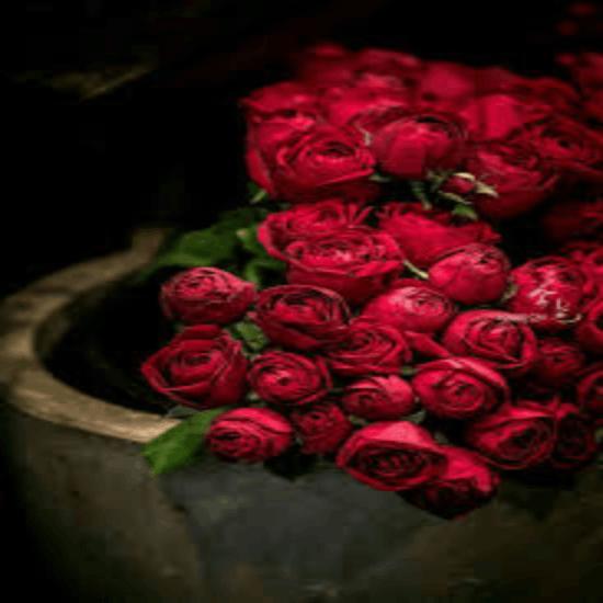 مانـيـب قـايـل الشوق وينك