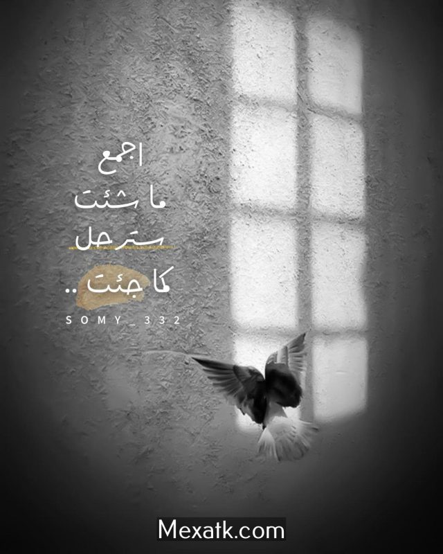 رمزيات عبارات 1