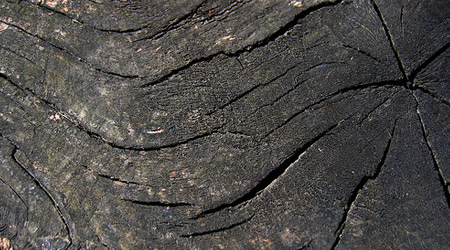 woodtextures26.jpg